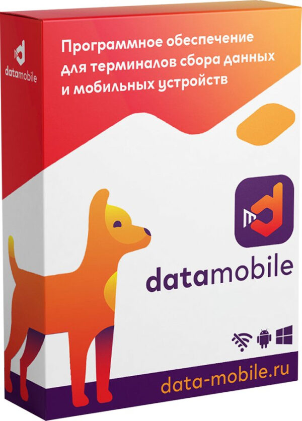 Неискл. право на исп-ие ПО DataMobile версия Online Lite - подписка на 12 месяцев (DMONLINELITE12M)