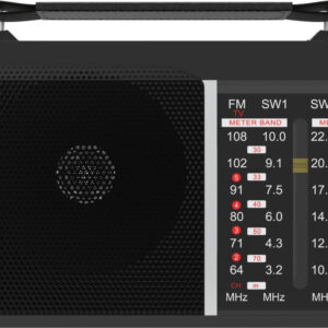 Радиоприемник портативный Ritmix RPR-190 черный