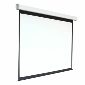 Экран 168x300см Digis Electra-F DSEF-16906 16:9 настенно-потолочный рулонный (моторизованный привод)