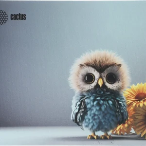 Коврик для мыши Cactus Owl gray рисунок 300x250x3мм (CS-MPC-D12M)