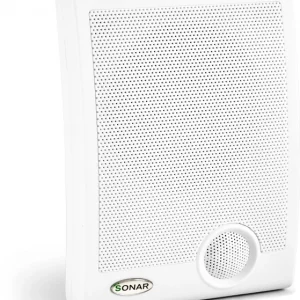 Громкоговоритель Rubezh Sonar SWP-110-105 (RBZ-361113)