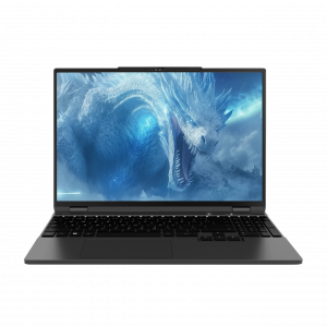 Ноутбук / Maibenben X15B-R78746GQSLBRE0 / Maibenben X15B-R78746 15.3"(2560x1600 (матовый) IPS)/AMD Ryzen 7 8745HS(3.8Ghz)/16384Mb/1024PCISSDGb/ExtnVidia GeForce RTX4060/Cam/BT/WiFi/60.1WHr/war 1y/1.95kg/Black/Linux + Screen 240Hz, 500nits, sRGB 100%
