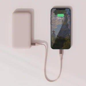 Кабель Xiaomi ZMI DW3 PINK RUS USB Type-C (m)-USB Type-C (m) 1м розовый Bulk (упак.:1шт)