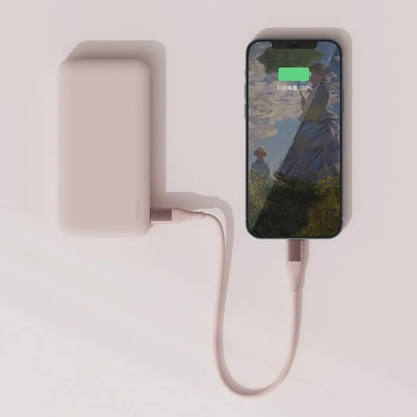 Кабель Xiaomi ZMI DW3 PINK RUS USB Type-C (m)-USB Type-C (m) 1м розовый Bulk (упак.:1шт)