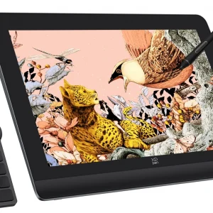 Графический планшет-монитор XPPen Artist Pro 16 USB Type-C/USB/HDMI черный