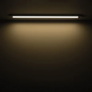 Светильник Gauss (9019531209-T)