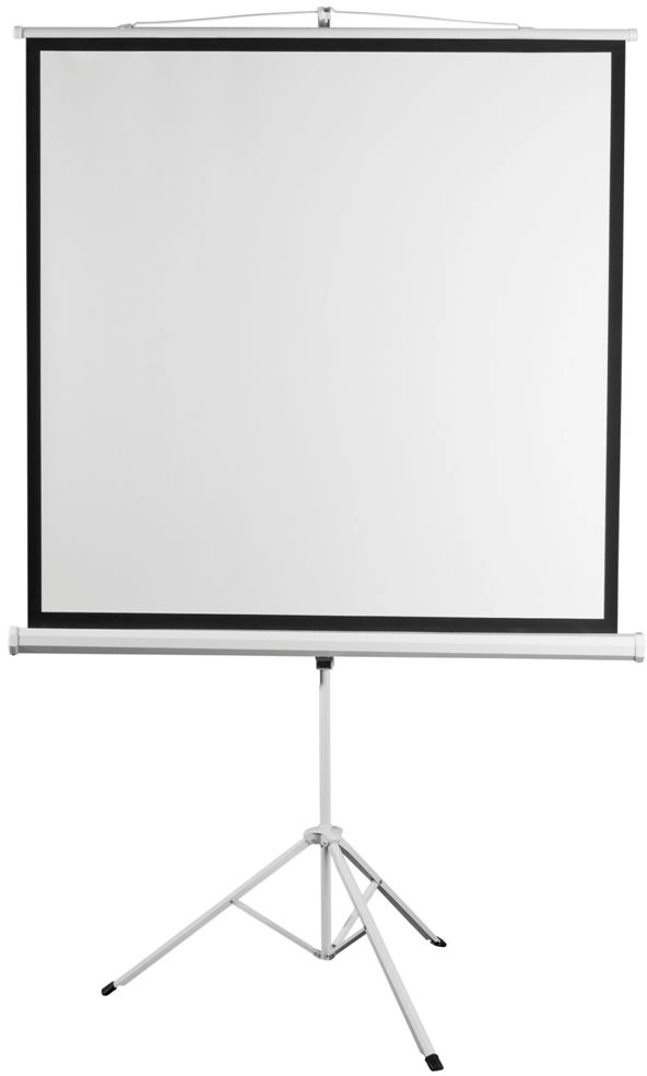 Экран на треноге Digis 135" 248x250см Kontur-D DSKD-1108 1:1 напольный рулонный белый