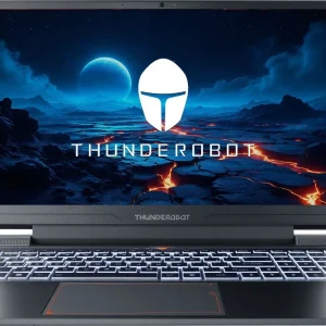 Ноутбук Thunderobot 911 X Wild Hunter G3M Evo Core i5 13420H 16Gb SSD1Tb NVIDIA GeForce RTX5050 8Gb 15.6" IPS FHD (1920x1080) FreeDOS grey WiFi BT Cam (JT009V00QRU)